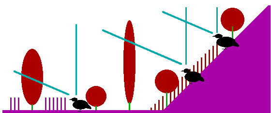 model of escape behaviour