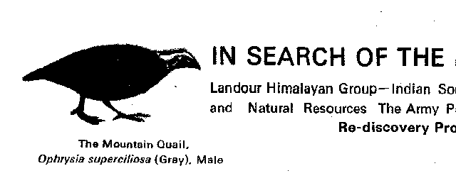 an here another logo...