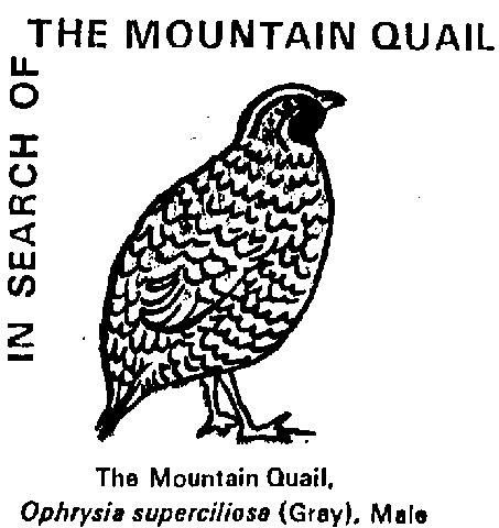 Logo on a letter